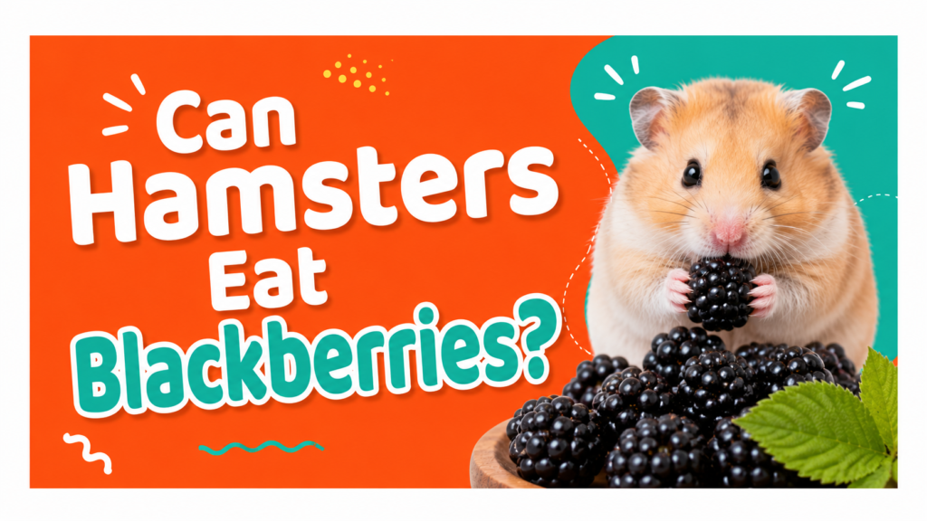 Can Hamsters Eat Blackberries?