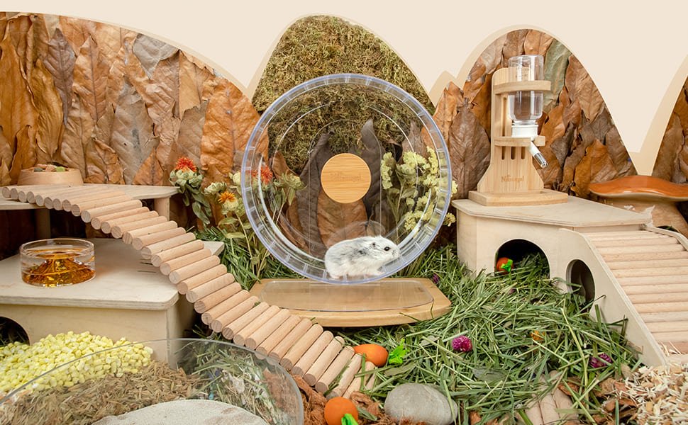Hamster running on a transparent Niteangel wheel in an enriched enclosure