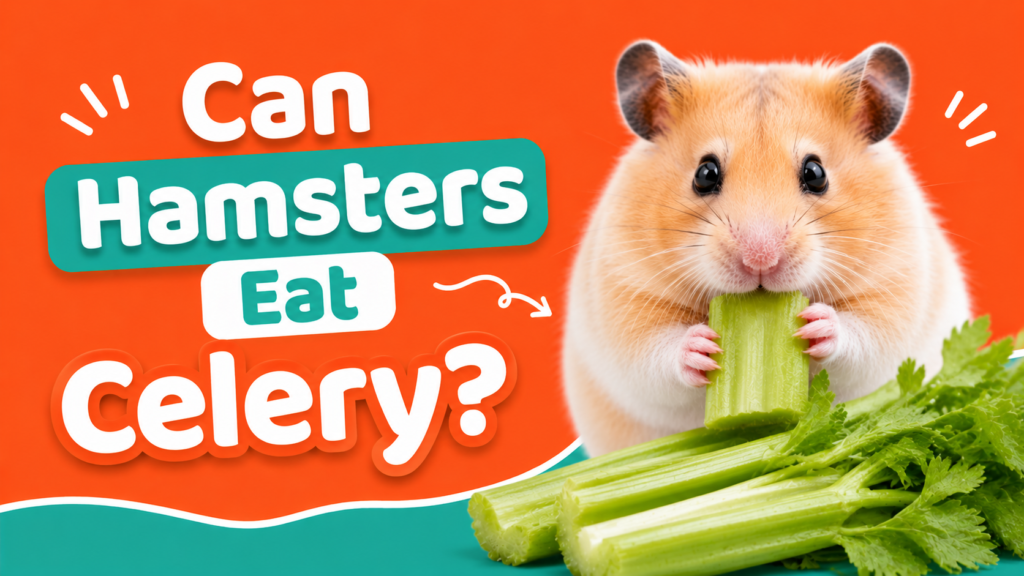 Can Hamsters Eat Celery?