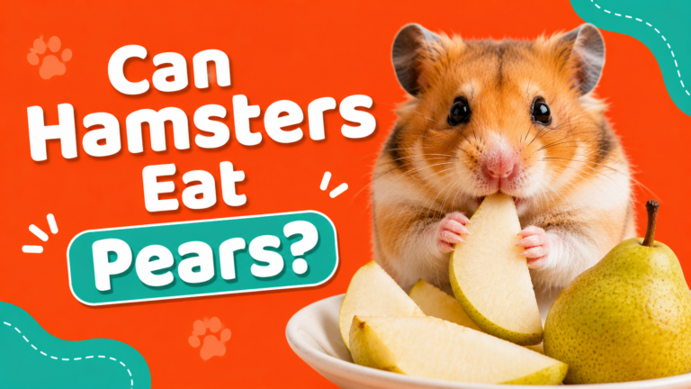 Can Hamsters Eat Pears?