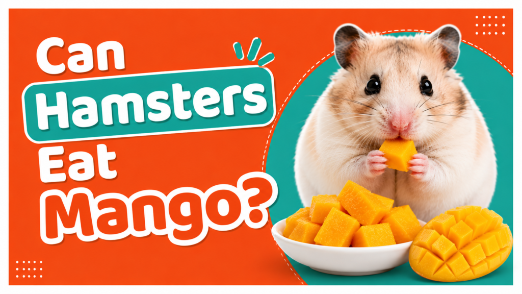 Can Hamsters Eat Mango?
