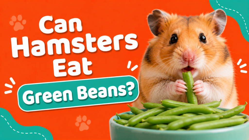 Can Hamsters Eat Green Beans?