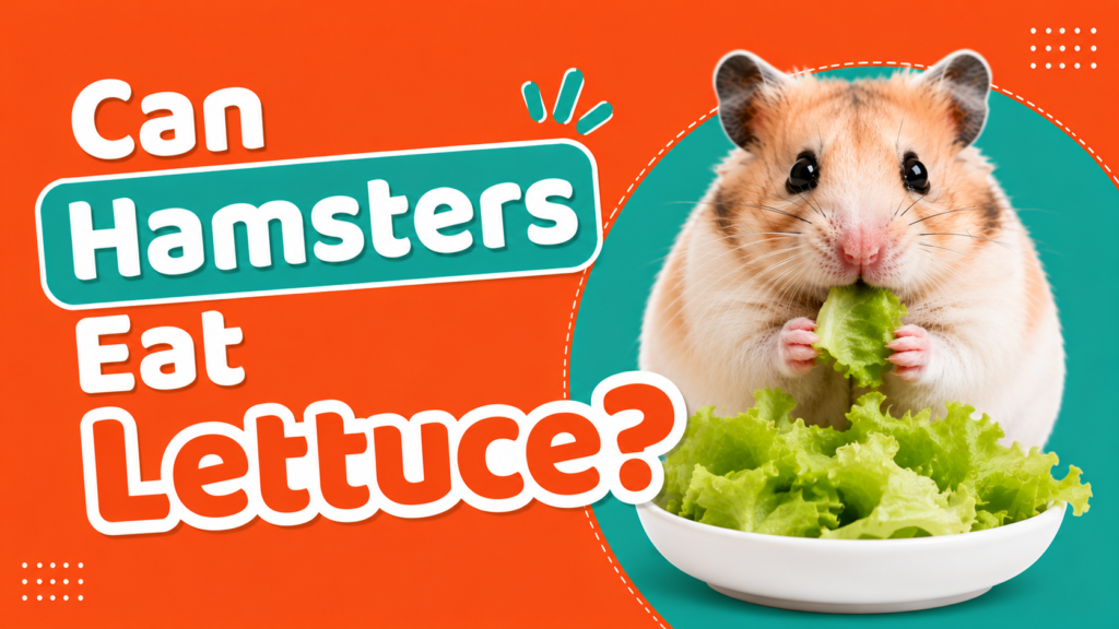 Can Hamsters Eat Lettuce?