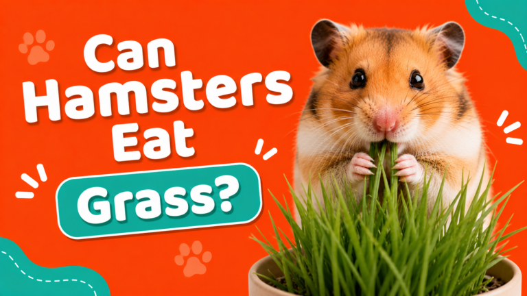 Can Hamsters Eat Grass?