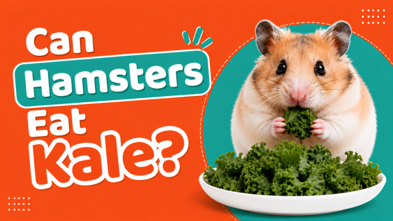 Can Hamsters Eat Kale?