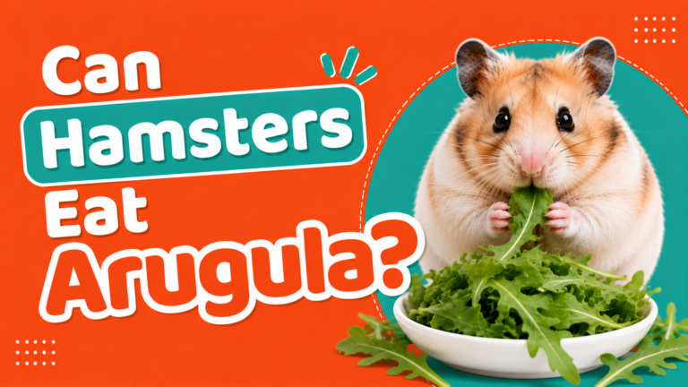 Can Hamsters Eat Arugula?