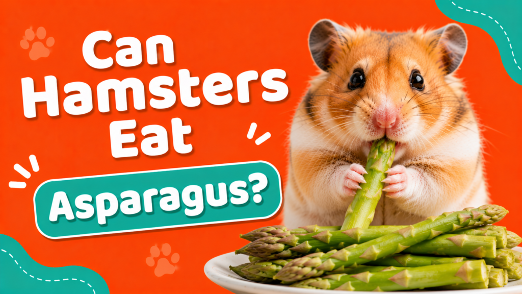 Can Hamsters Eat Asparagus?