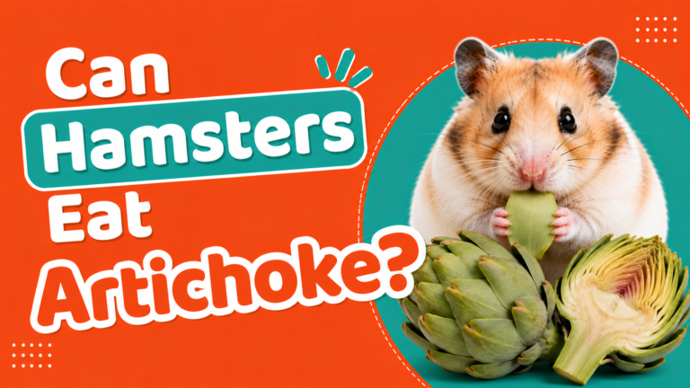 Can Hamsters Eat Artichoke?