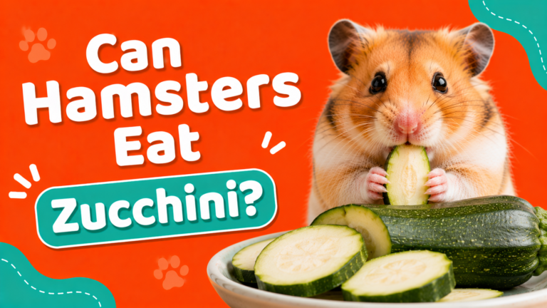 Can Hamsters Eat Zucchini?