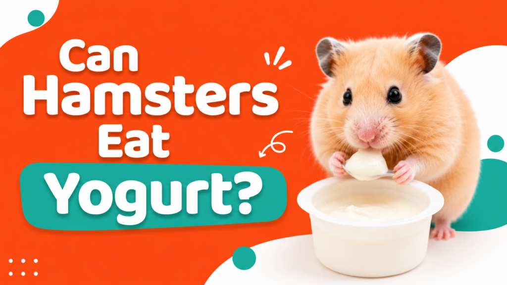 Can Hamsters Eat Yogurt?