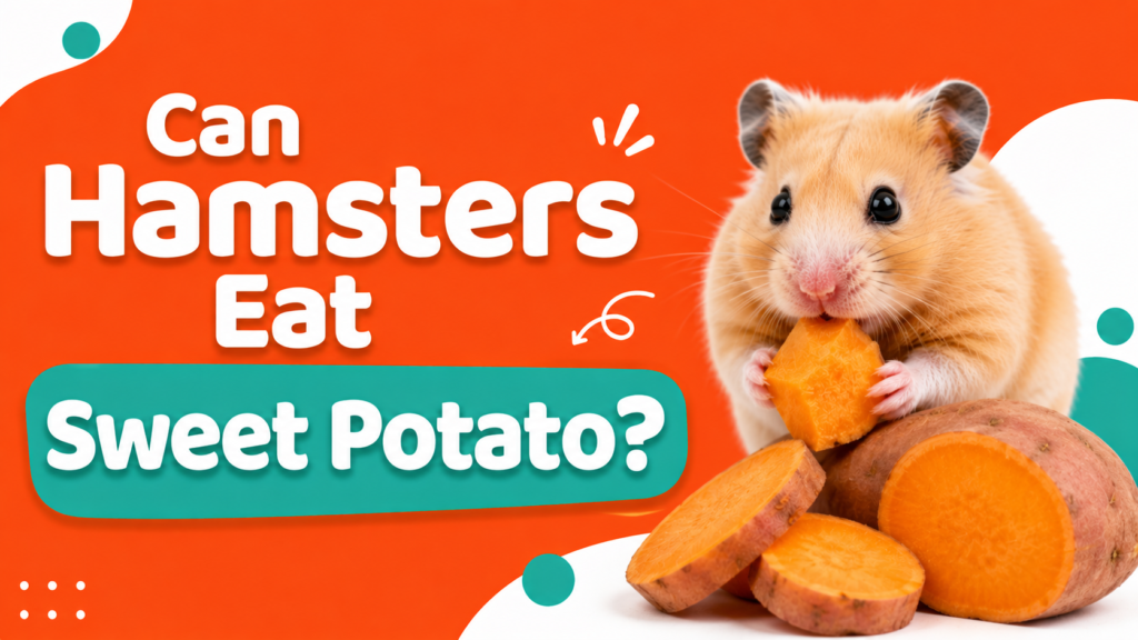 Can Hamsters Eat Sweet Potato?