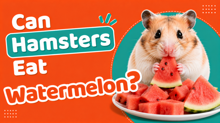Can Hamsters Eat Watermelon?