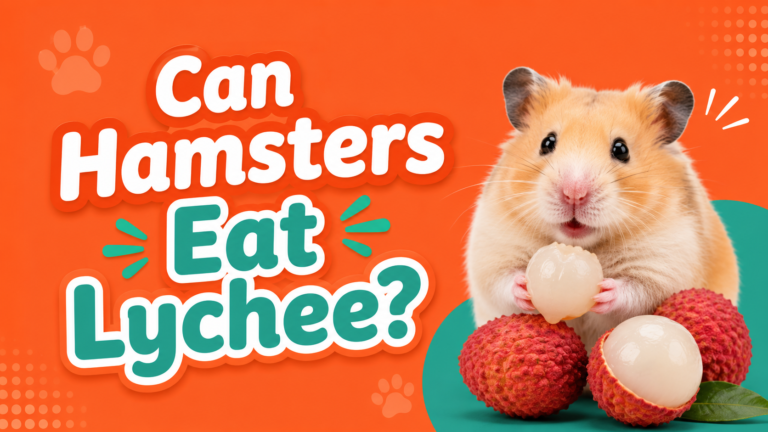 Can Hamsters Eat Lychee?