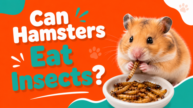 Can Hamsters Eat Insects?