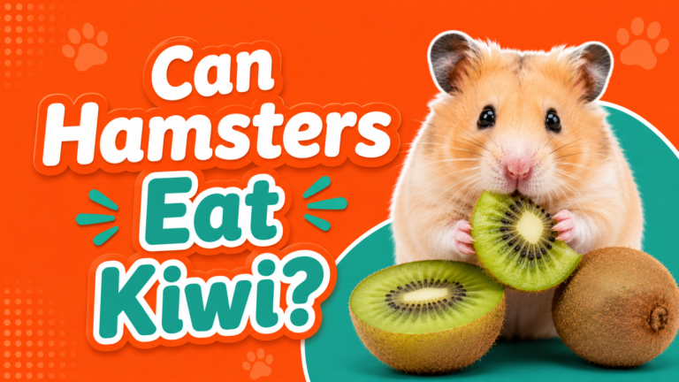 Can Hamsters Eat Kiwi?