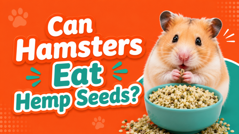 Can Hamsters Eat Hemp Seeds?