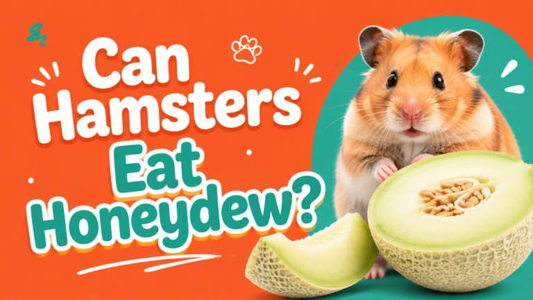 Can Hamsters Eat Honeydew?