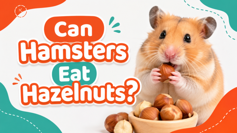 Can Hamsters Eat Hazelnuts?
