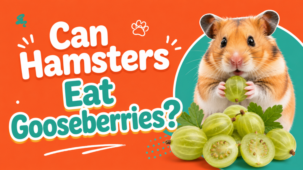 Can Hamsters Eat Gooseberries?
