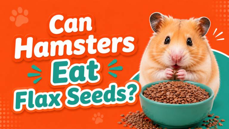 Can Hamsters Eat Flax Seeds?