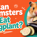 Can Hamsters Eat Eggplant?