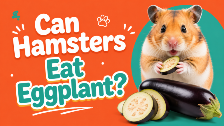 Can Hamsters Eat Eggplant?
