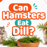 Can Hamsters Eat Dill?