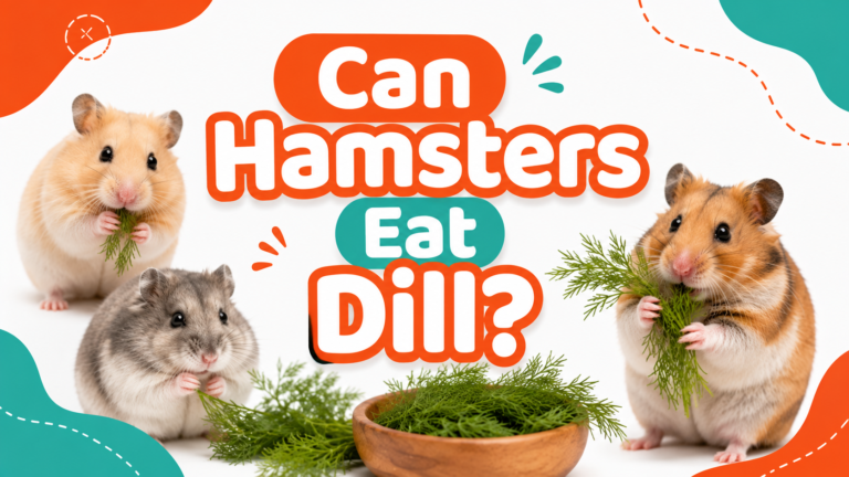 Can Hamsters Eat Dill?