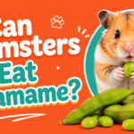 Can Hamsters Eat Edamame?