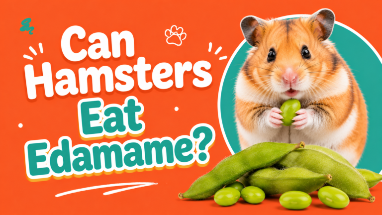 Can Hamsters Eat Edamame?