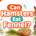 Can Hamsters Eat Fennel?