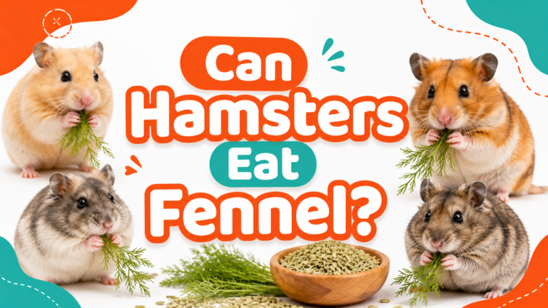 Can Hamsters Eat Fennel?