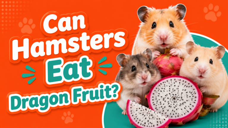 Can Hamsters Eat Dragon Fruit?
