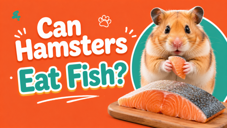 Can Hamsters Eat Fish?