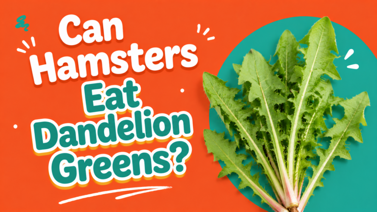 Can Hamsters Eat Dandelion Greens?