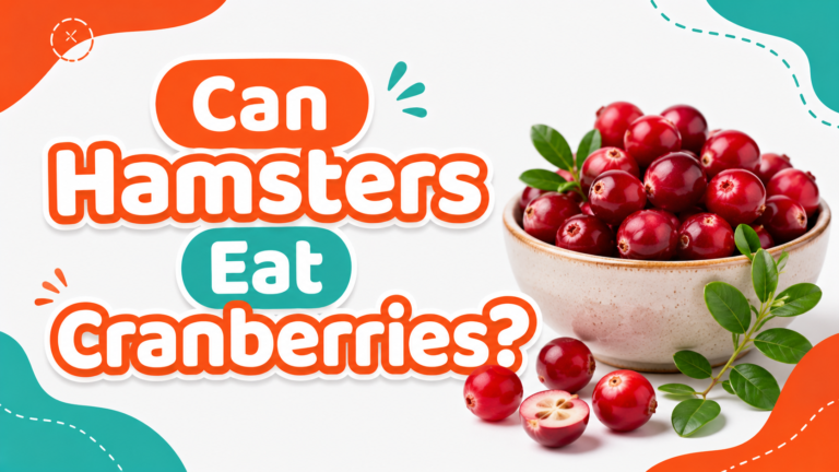 Can Hamsters Eat Cranberries?