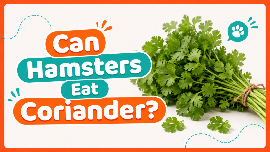 Can Hamsters Eat Coriander?