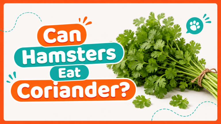 Can Hamsters Eat Coriander?