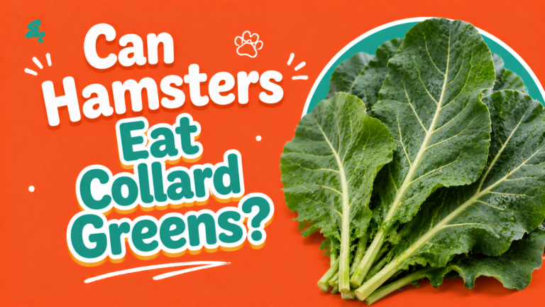 Can Hamsters Eat Collard Greens?