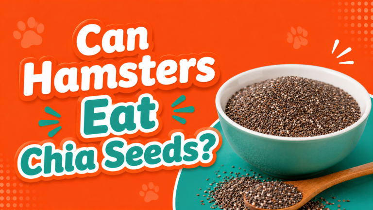 Can Hamsters Eat Chia Seeds?