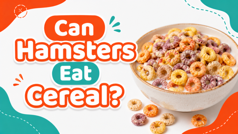 Can Hamsters Eat Cereal?