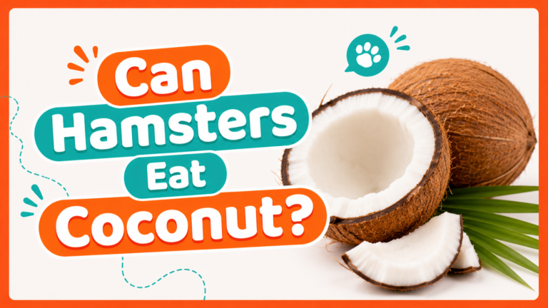 Can Hamsters Eat Coconut?