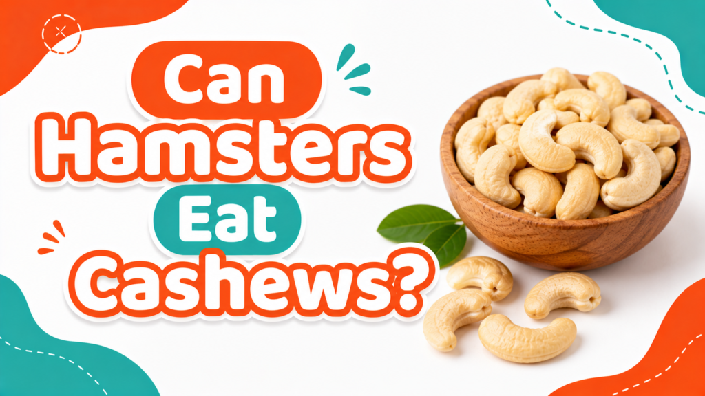 Can Hamsters Eat Cashews?