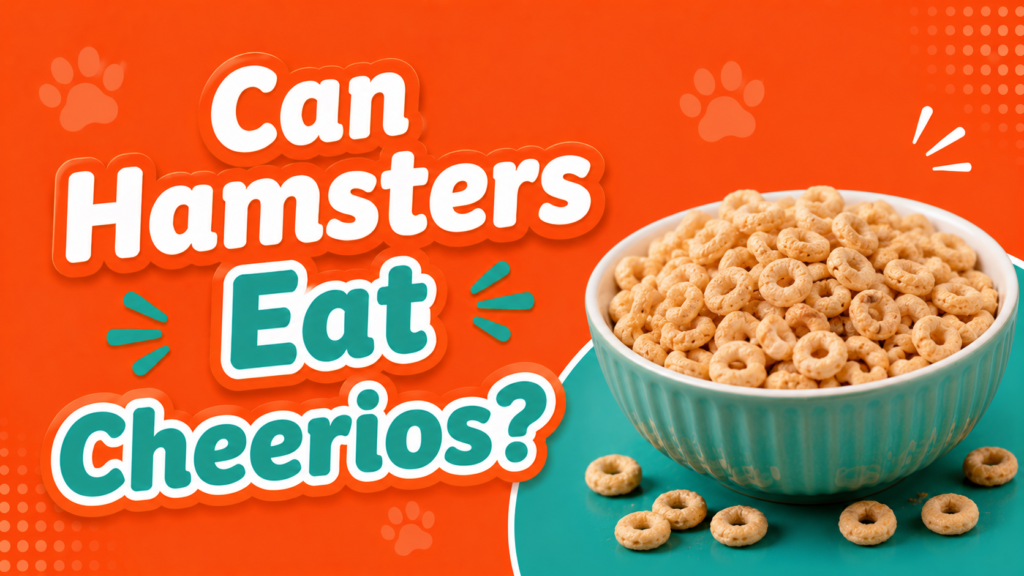 Can Hamsters Eat Cheerios?