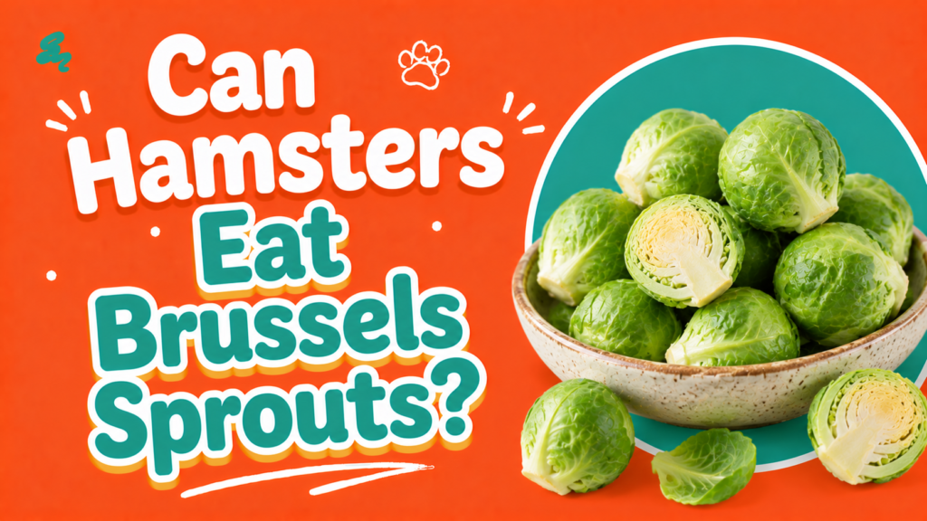 Can Hamsters Eat Brussels Sprouts?