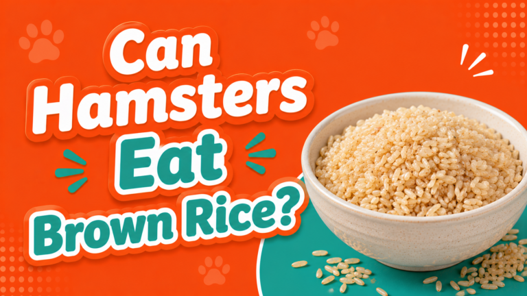 Can Hamsters Eat Brown Rice?