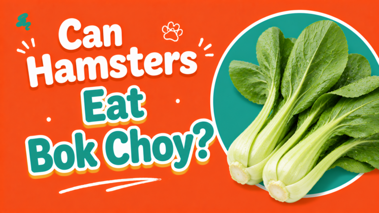Can Hamsters Eat Bok Choy?