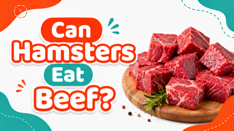 Can Hamsters Eat Beef?