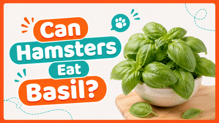 Can Hamsters Eat Basil?