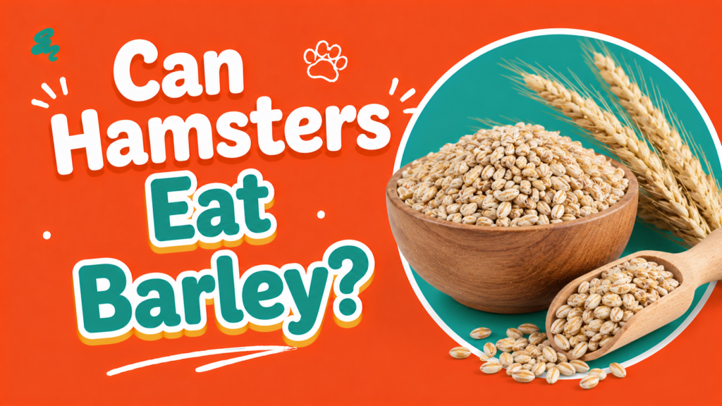 Can Hamsters Eat Barley?